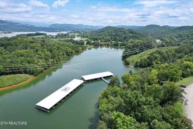 2054 Turners Landing Rd, Russellville, TN 37860
