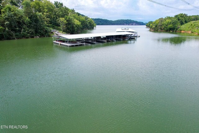 2054 Turners Landing Rd, Russellville, TN 37860