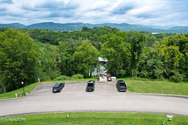 2054 Turners Landing Rd, Russellville, TN 37860