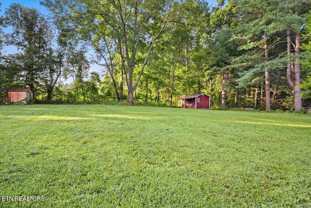 view of yard featuring a shed