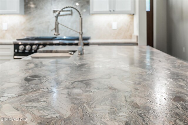 details with white cabinets, light stone countertops, and sink