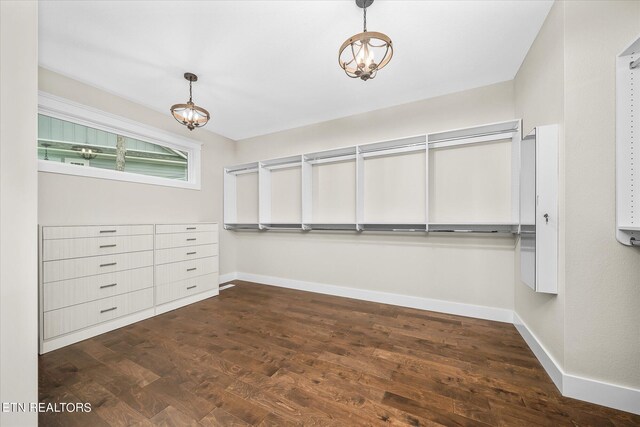 spacious closet with dark hardwood / wood-style flooring and a chandelier