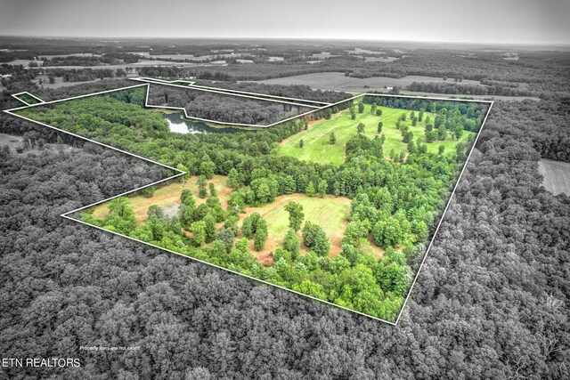 Meister Hills Rd, Deer Lodge TN, 37726 land for sale