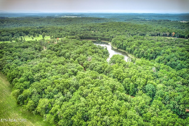Meister Hills Rd, Deer Lodge, TN 37726