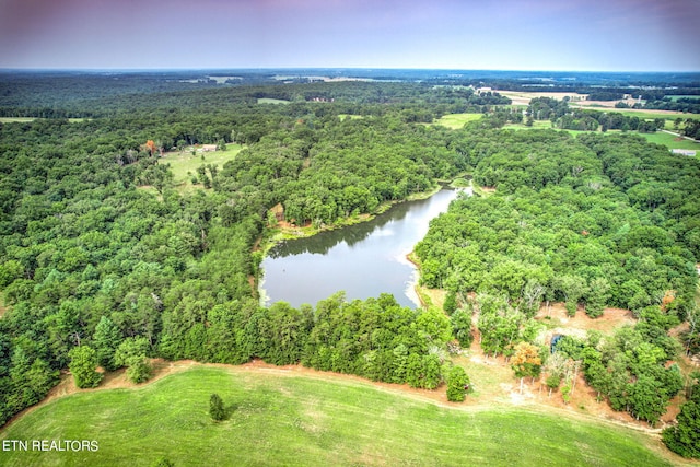 Meister Hills Rd, Deer Lodge, TN 37726