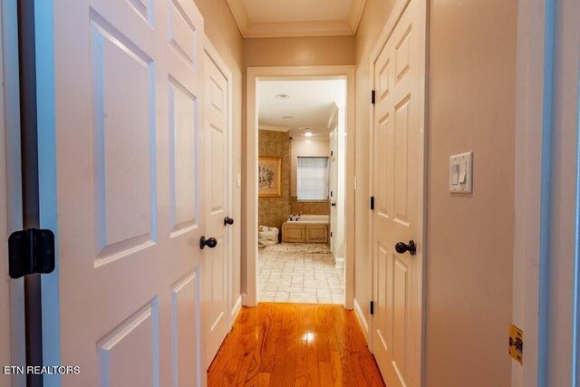 corridor featuring light hardwood / wood-style floors and ornamental molding