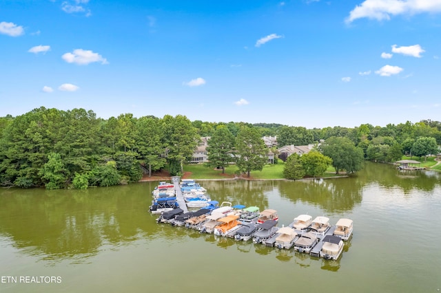 drone / aerial view with a water view and a forest view