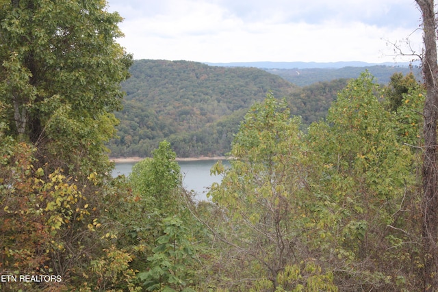 view of mountain feature featuring a water view