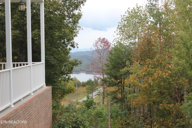 property view of water featuring a mountain view