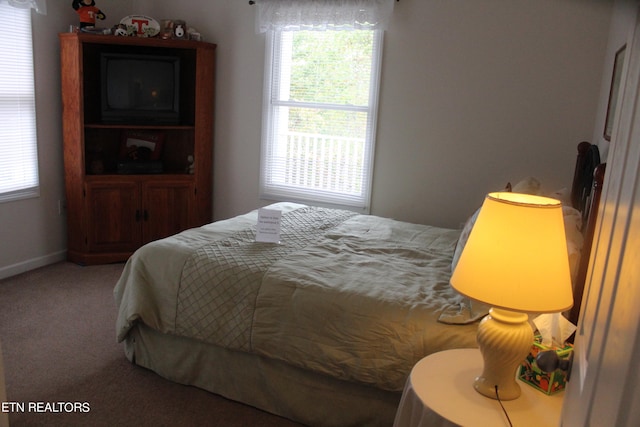 carpeted bedroom with multiple windows