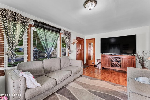 living room featuring light hardwood / wood-style floors