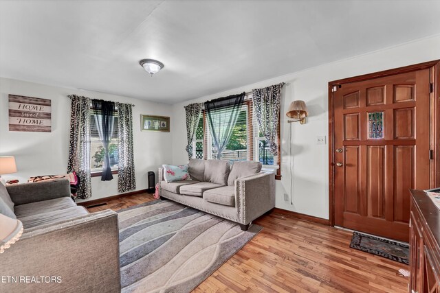 living room featuring light hardwood / wood-style floors