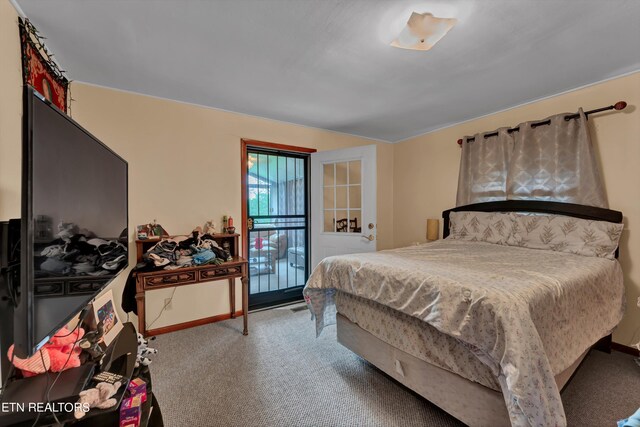 bedroom featuring carpet floors