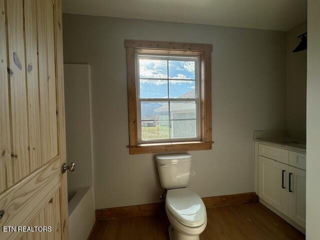 bathroom featuring wood-type flooring, vanity, and toilet