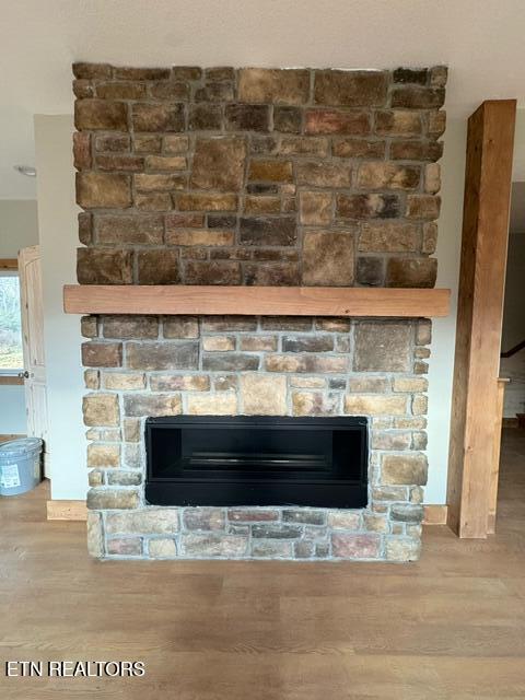 details featuring a fireplace and wood-type flooring