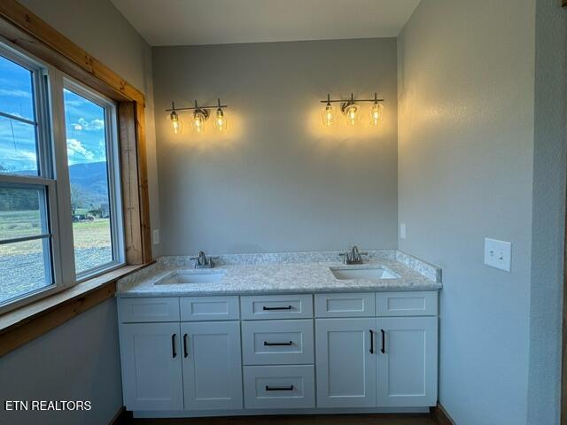 bathroom with vanity