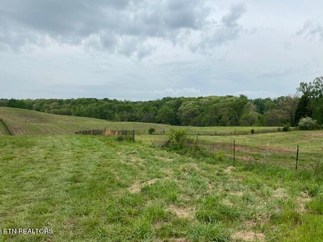 11303 N Couch Mill Rd, Knoxville TN, 37931 land for sale