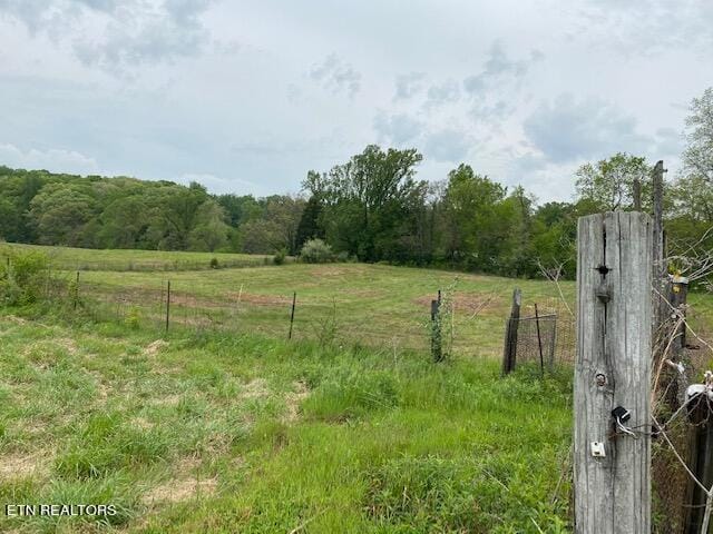 11303 N Couch Mill Rd, Knoxville, TN 37931 - photo 2