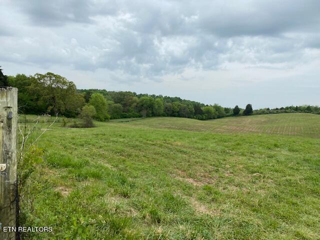 11303 N Couch Mill Rd, Knoxville, TN 37931 - photo 3