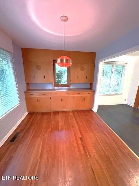 kitchen with a healthy amount of sunlight, hanging light fixtures, and light hardwood / wood-style flooring