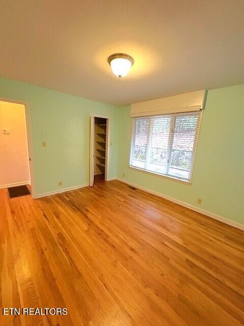 interior space featuring light wood-type flooring and a closet