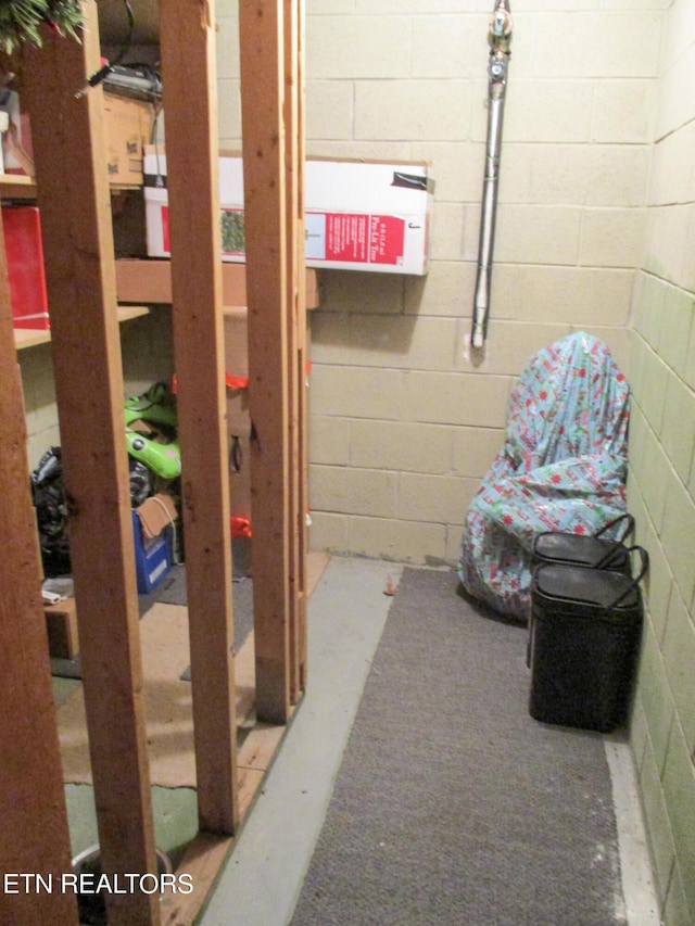 view of basement