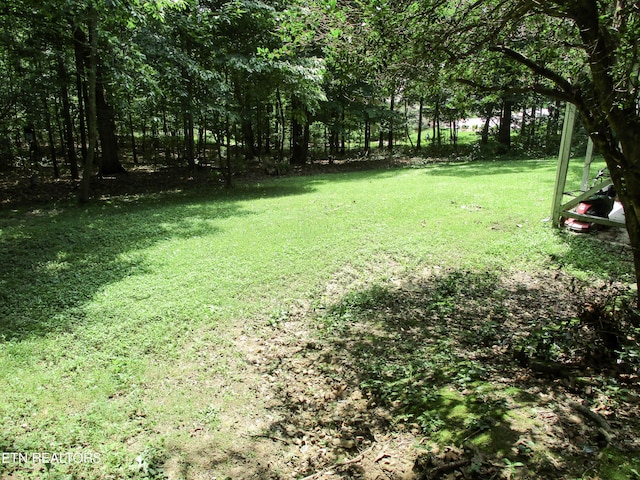view of yard