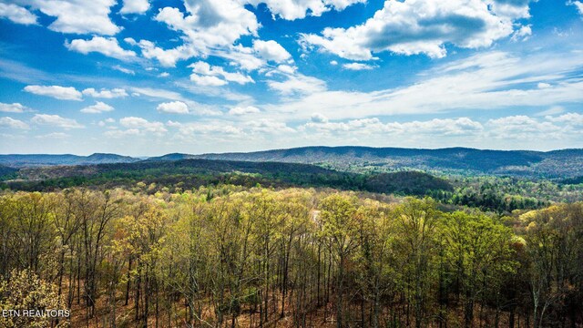 Green Ridge Trl, Lot Harriman, TN 37748