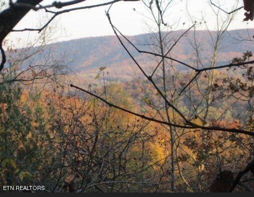 Green Ridge Trl, Lot Harriman, TN 37748