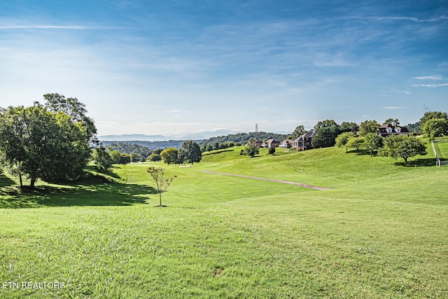 view of property's community featuring a lawn