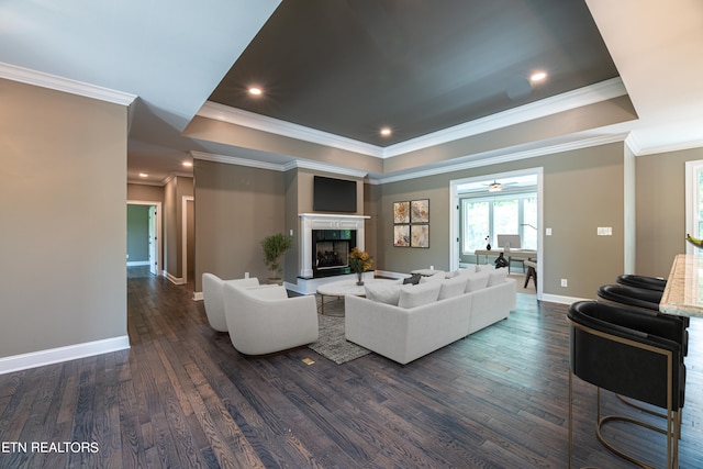 living room with ornamental molding, hardwood / wood-style floors, and a raised ceiling