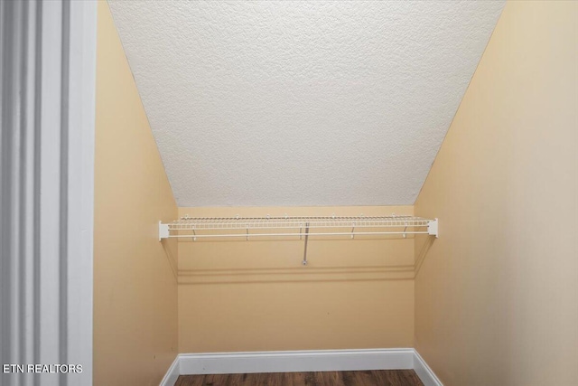 spacious closet with lofted ceiling and wood-type flooring