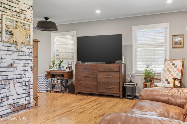 living room with light hardwood / wood-style floors, crown molding, and plenty of natural light