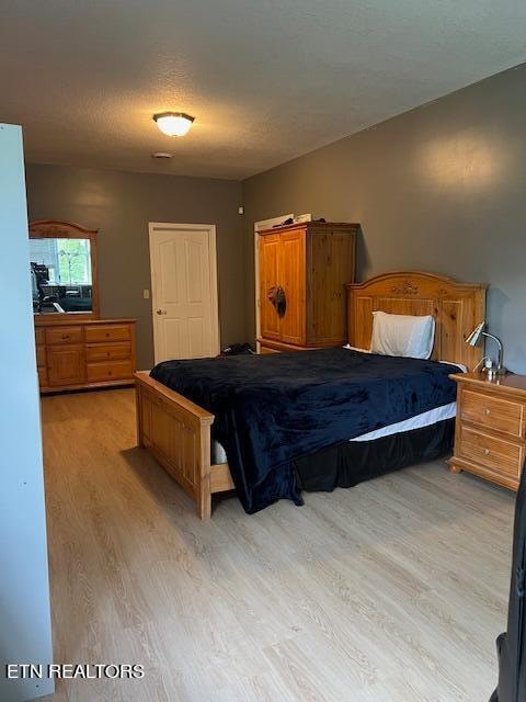 bedroom with light hardwood / wood-style flooring