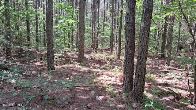 Listing photo 2 for Airport Rd, Pca Rockwood TN 37854