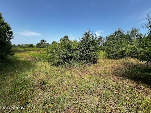 150 Copenhaver Rd, Lenoir City TN, 37771 land for sale