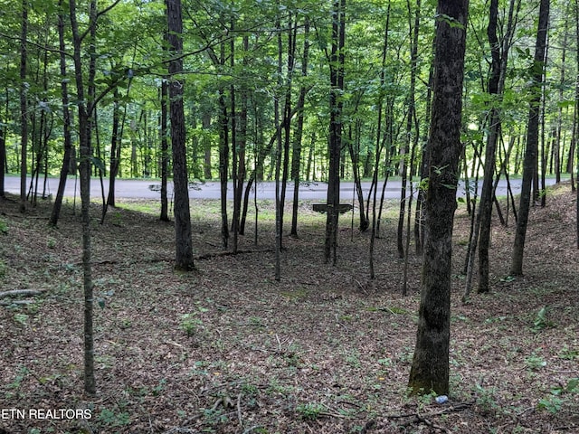 742 Hunters Run Rd, Townsend TN, 37882 land for sale