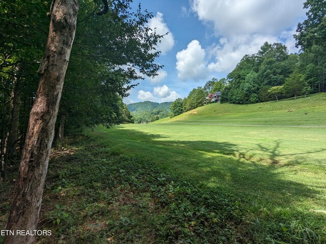 Listing photo 3 for 738 Hunters Run Rd, Townsend TN 37882