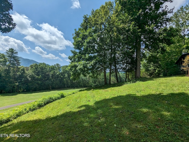 738 Hunters Run Rd, Townsend TN, 37882 land for sale