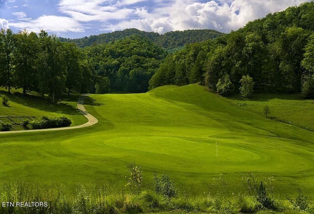 745/749 Hunters Run Rd, Townsend, TN 37882
