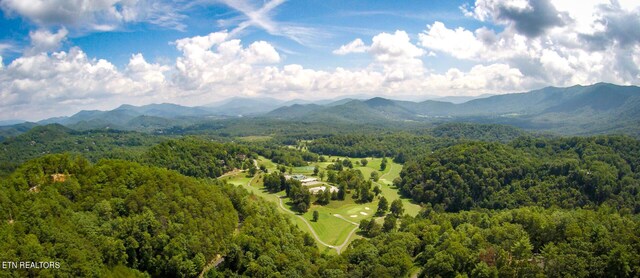 745/749 Hunters Run Rd, Townsend, TN 37882