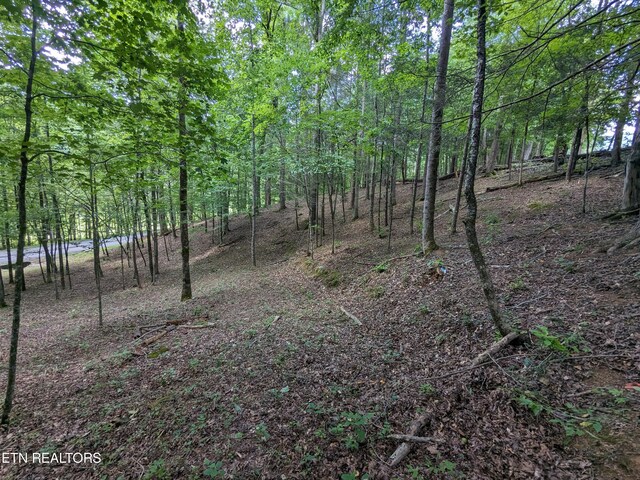 745/749 Hunters Run Rd, Townsend, TN 37882