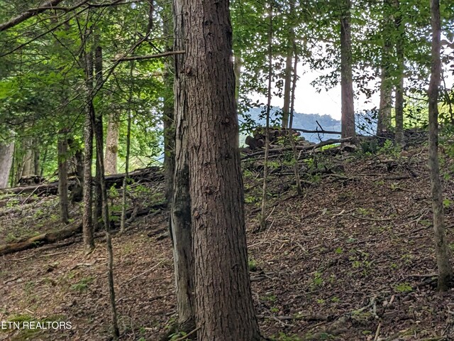 745/749 Hunters Run Rd, Townsend, TN 37882