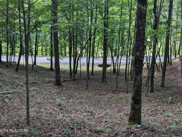 745/749 Hunters Run Rd, Townsend, TN 37882
