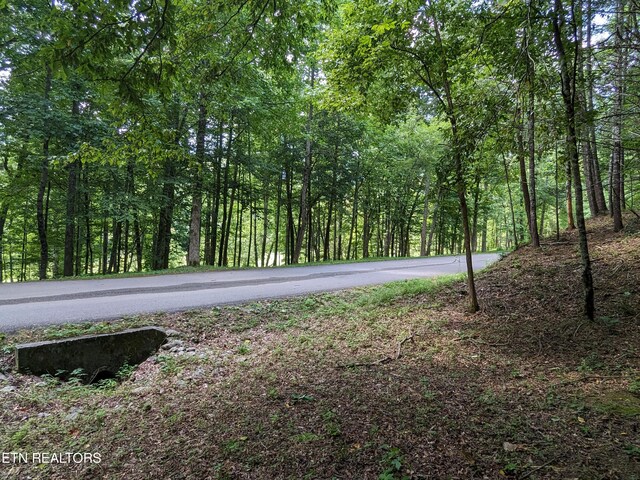 745/749 Hunters Run Rd, Townsend, TN 37882