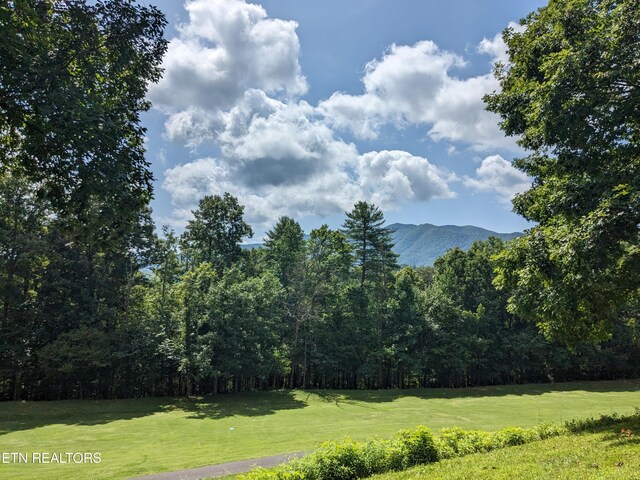 745/749 Hunters Run Rd, Townsend, TN 37882