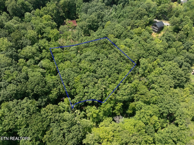 Brooke Hollow Ln, Sevierville TN, 37862 land for sale