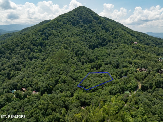 Listing photo 3 for Brooke Hollow Ln, Sevierville TN 37862