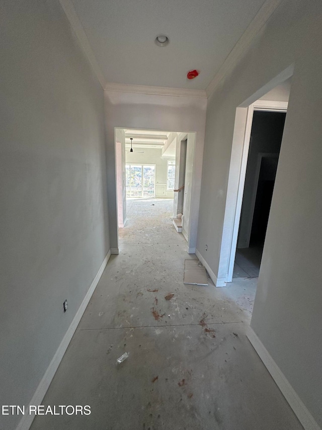 hallway with crown molding