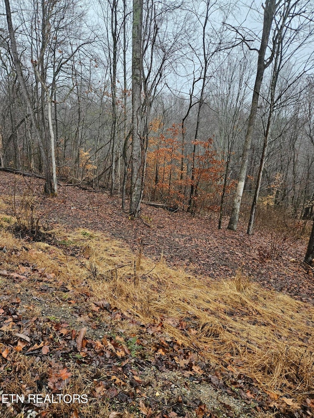 Listing photo 3 for Whitman Hollow Rd, Lafollette TN 37766